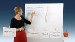 Lernstrategien Lernstrategien